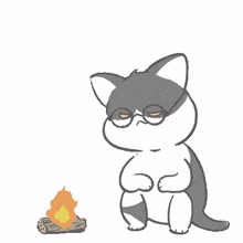 cat gray glasses bored fire