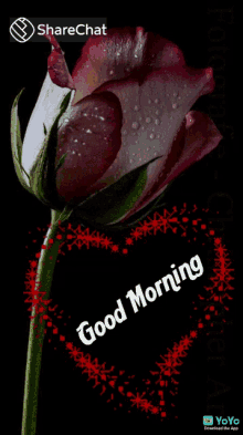 Good Morning गुलाब GIF