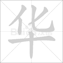 Hua Chenyu Hua Hua GIF - Hua Chenyu Hua Hua Logo GIFs