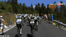 cycling tour de france fail blooper