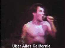 Dead Kennedys Punk GIF - Dead Kennedys Punk Uber Alles California GIFs