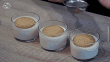 Cocoa Powder Spanish Custards GIF