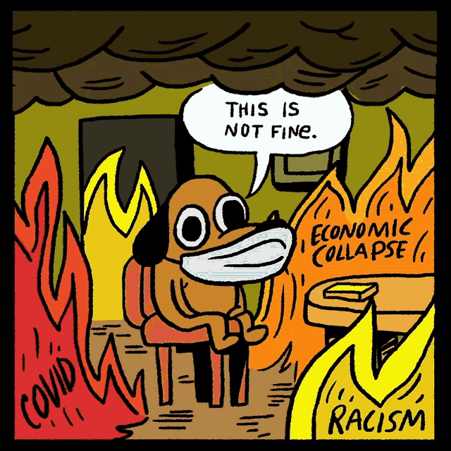 This is FIne-FINE