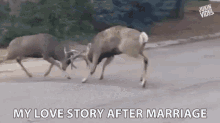 My Love Story After Marriage Relationship GIF - My Love Story After Marriage After Marriage Relationship GIFs