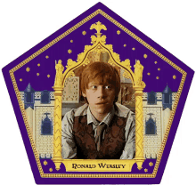 Harry Potter Chocolate Frog Card GIF - Harry Potter Chocolate Frog Card Ron Weaslwy GIFs