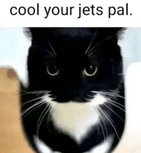 Cat Silly GIF - CAT Silly Goober - Discover & Share GIFs