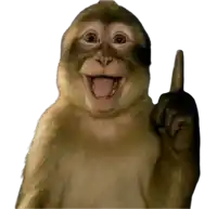a monkey is making a funny face and pointing upwards
