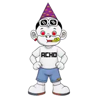 a cartoon character wearing a shirt that says acho and a party hat