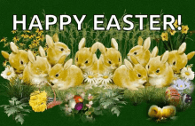 Happy Easter Bunnies GIF - Happy Easter Bunnies Easter Eggs GIFs