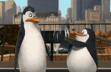 tips tips please madagascar penguins penguins of madagascar