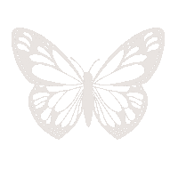 a white butterfly on a white background with dots on its wings