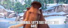 you fuzzball