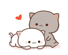 kiss mochi cat