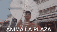 Anima La Plaza Bejo GIF