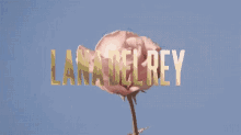 Lana Del Rey Flower GIF - Lana Del Rey Flower Blooming GIFs