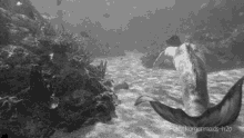 Merman Mako GIF - Merman Mako Mermaids GIFs