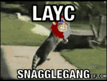 Layc Snaggletooth GIF - Layc Snaggletooth Snaggle Gang GIFs