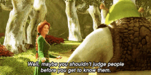 Shouldn'T Judge People Before You Get To Know Them. GIF - Shrek Fiona Dont Judge GIFs