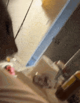 a close up of a cat looking at something in a kitchen