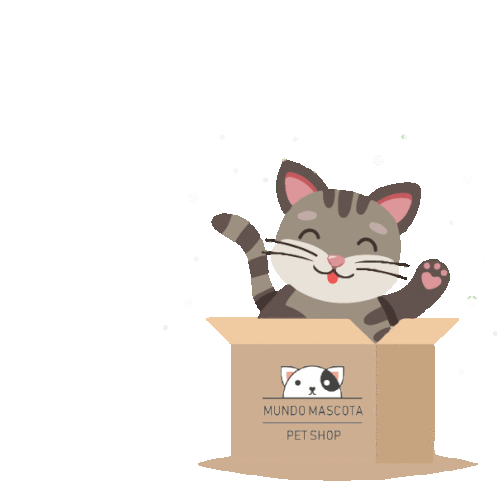 Cat Kitty Sticker - Cat Kitty Smile Stickers