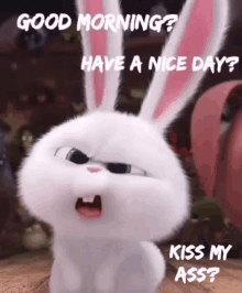 Good Morning Kiss My Ass GIF - Good Morning Kiss My Ass Have A Nice Day GIFs