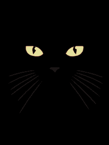 Black Cat GIF - Black Cat Tongue GIFs