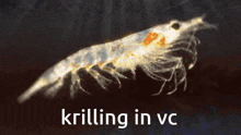 Krill Krillin GIF - Krill Krillin Vc GIFs
