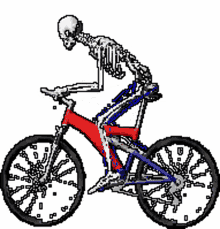 bicycle skeleton
