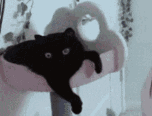 Black Cat Stretching GIF - Black Cat Stretching Morning GIFs