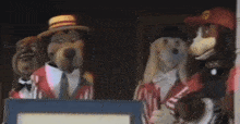 Dixie Diggers Sally Corp GIF - Dixie Diggers Sally Corp Hershey Park GIFs