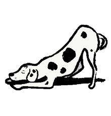 downsign dog greeting dalmatian bow down
