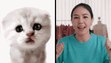 Xpression Camera Cat GIF - Xpression Camera Cat GIFs