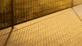 the shadow of a fence casts on the ground