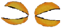 a close up of two orange slices with a white background