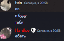 a screenshot of a conversation between fein and hardlov at 19:58