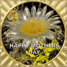Happy Mothers Day Sparkles GIF - Happy Mothers Day Sparkles Flower GIFs