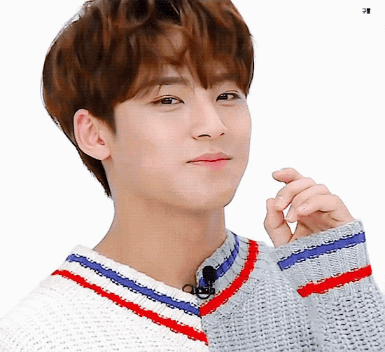 금빛돼지 이미지