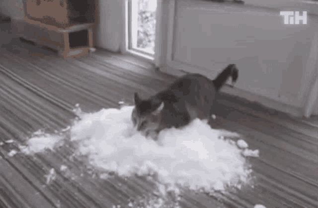 Playing Snow Snow GIF - Playing Snow Snow Looking For Something GIFs