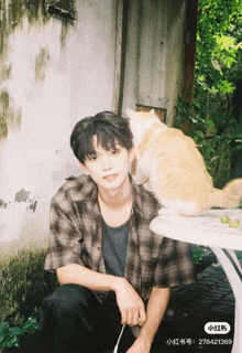 a man in a plaid shirt is kneeling next to an orange cat on a table