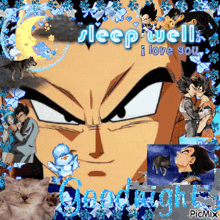 a collage of dragon ball z characters with the words sleep well i love you