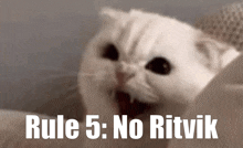No Ritvik Rule GIF - No Ritvik No Ritvik GIFs