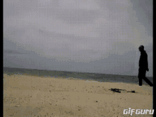 Waves Beach GIF - Waves Beach White Sand GIFs