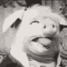 Pig Funny Animals GIF - Pig Funny Animals Tongue Out GIFs