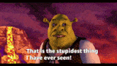 Shrek Devilartemis GIF - Shrek Devilartemis Stupidest Thing GIFs