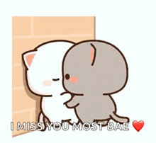a white cat and a gray cat are hugging each other on a wall .