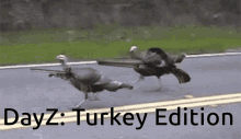 Day Z Turkey GIF - Day Z Turkey Shotgun GIFs