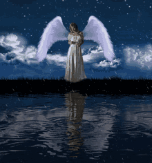 Angel Raining GIF - Angel Raining Wings GIFs