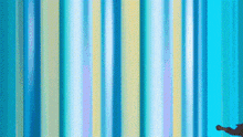 a person standing in front of a blue and yellow striped curtain .