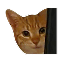 Smiling Cat Friendly Cat Sticker - Smiling Cat Friendly Cat Cat Stickers