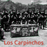 Carpinchos GIF - Carpinchos GIFs